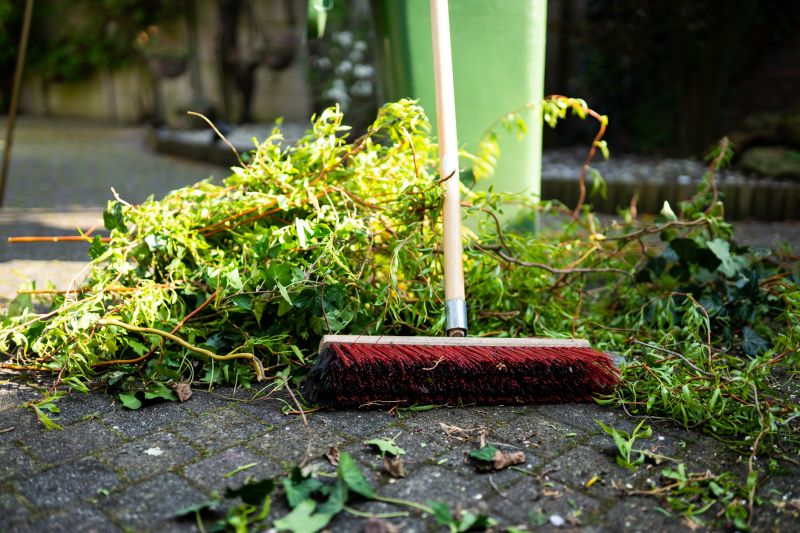 Brush Clearing