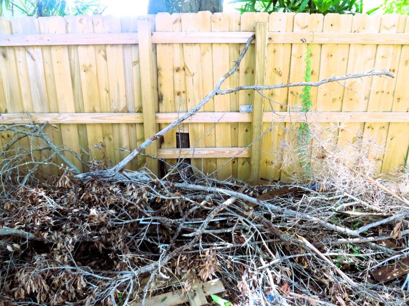 During the Clearing Process