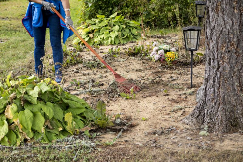 Before and After Clearing