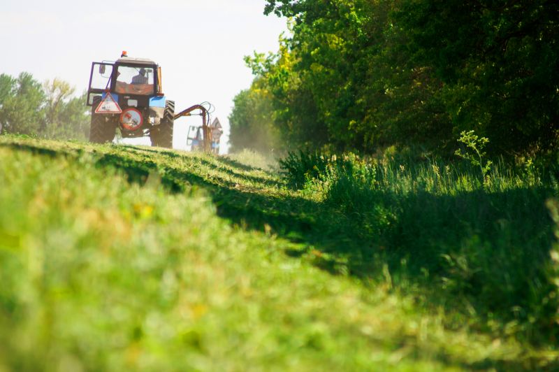 Vegetation Being Cut